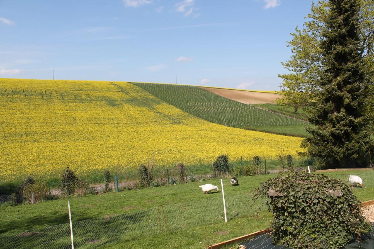 Happy & Relax Bed and Breakfast Mentque-Nortbecourt Exteriör bild
